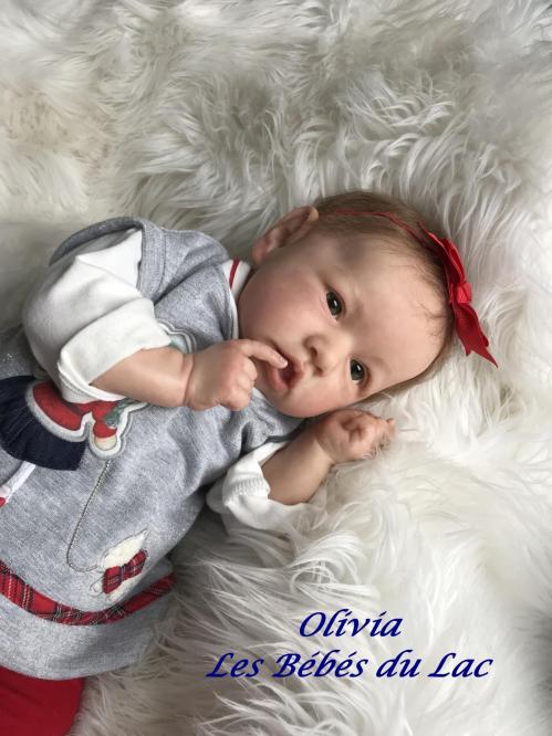 Olivia 5